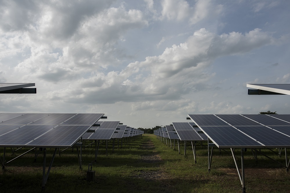 paneles fotovoltaicos en agroalimentación