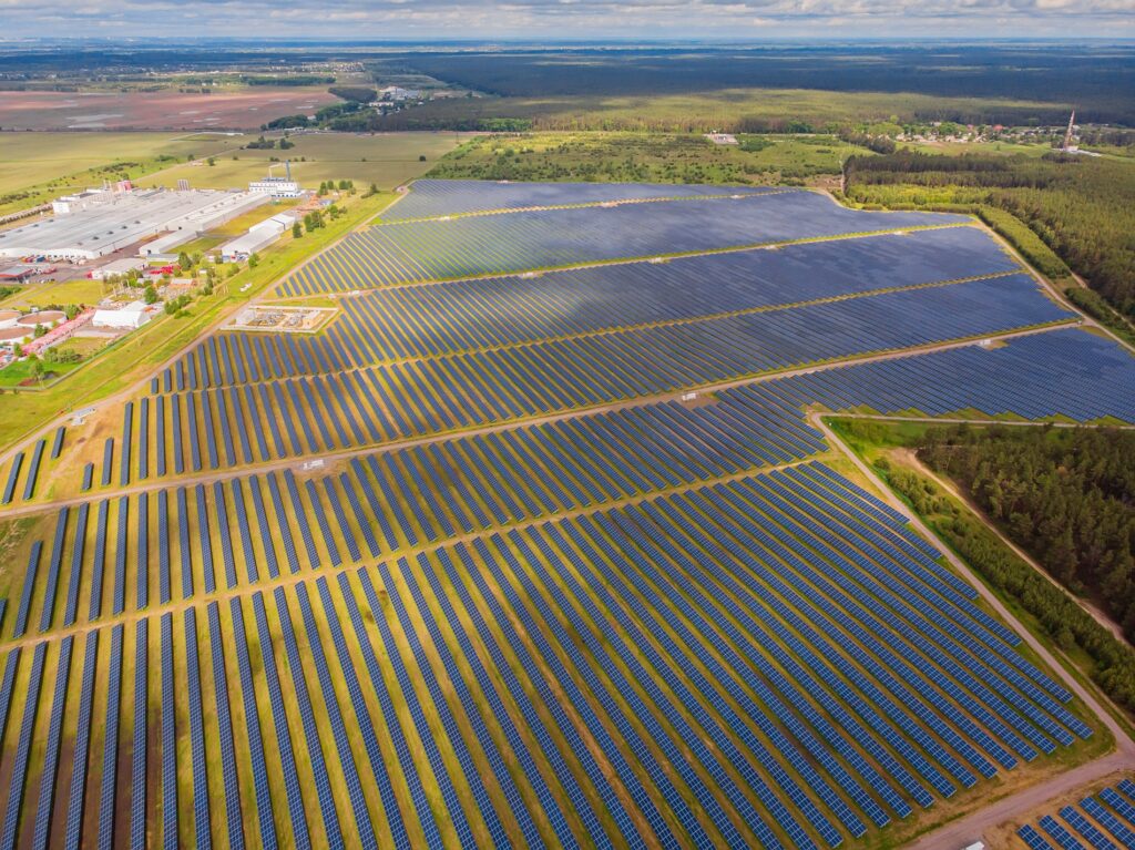 paneles solares en cultivos