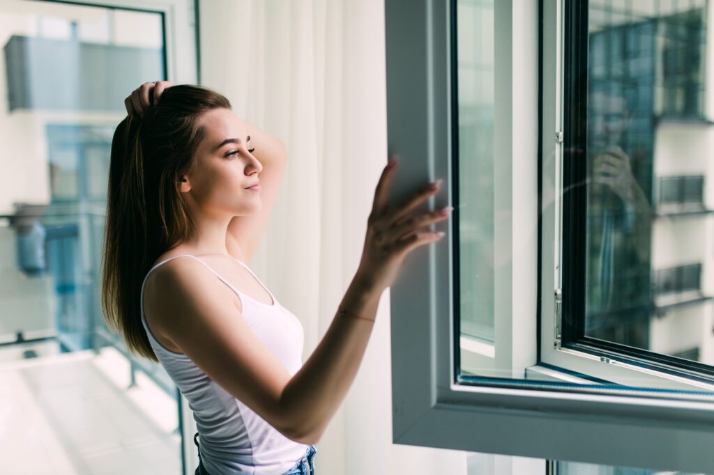 Ventanas Solares o Fotovoltaicas